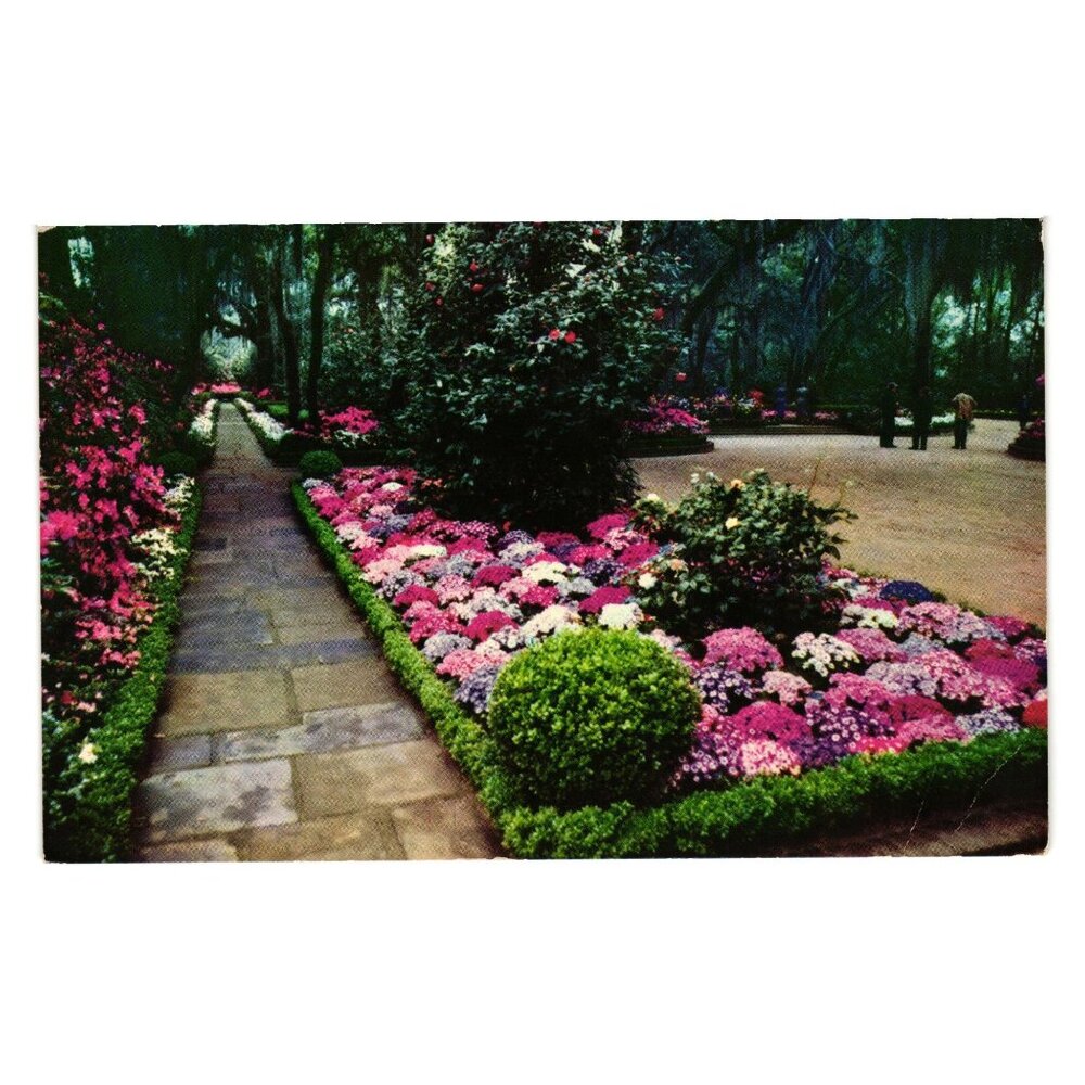 Bellingrath Gardens Mobile AL Postcard Colorful Flowers Trees Walkways Vintage